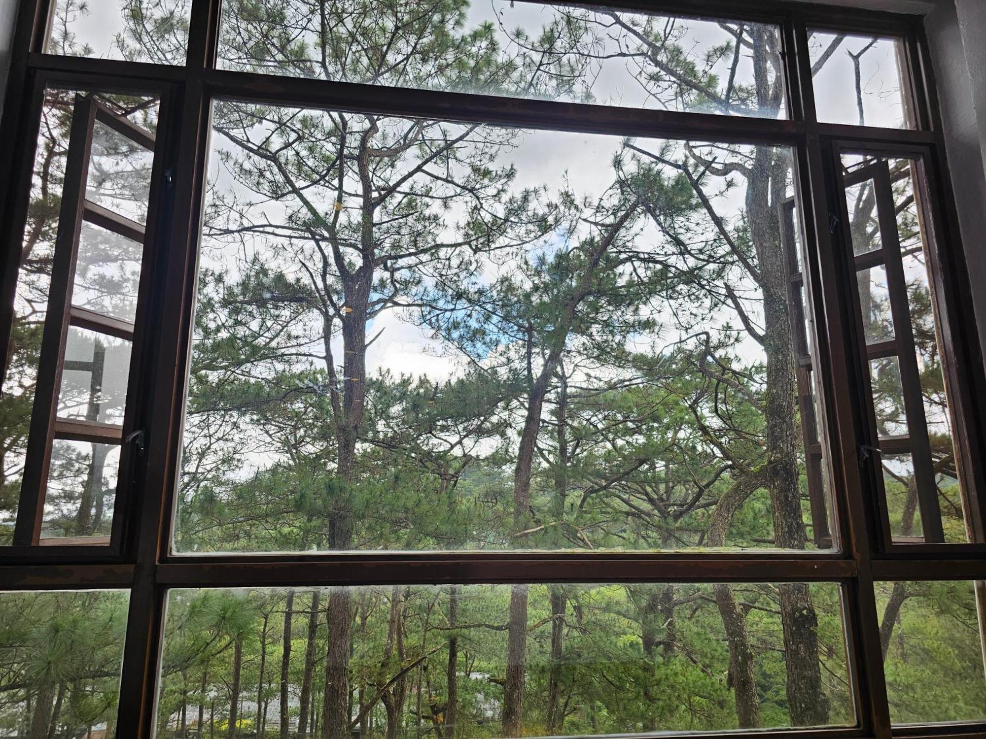 Baguio Forest Lodge At Camp John Hay 001A Baguio City Bagian luar foto